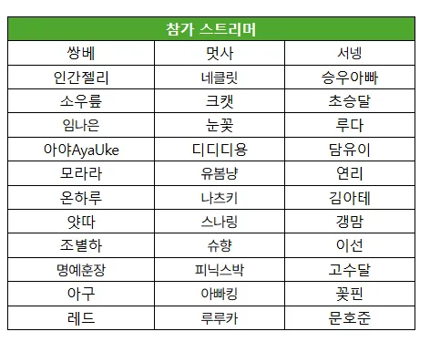 스트리머1.PNG